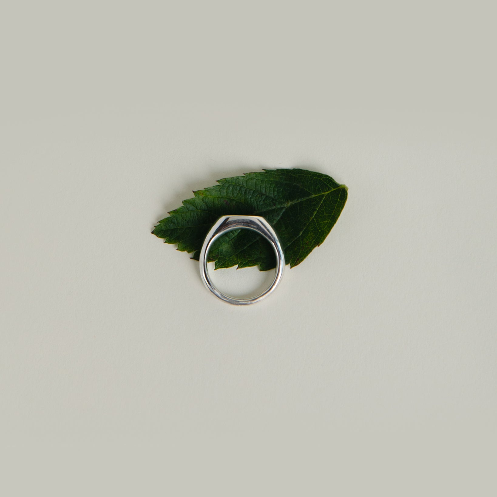 silver signet ring on leaf